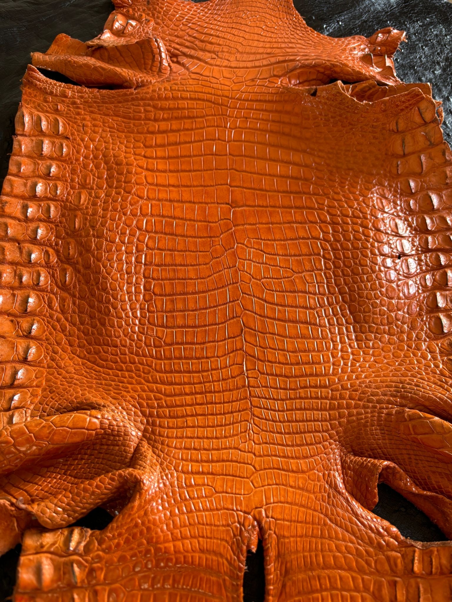 Full Moreletii Croc (Made to Order)