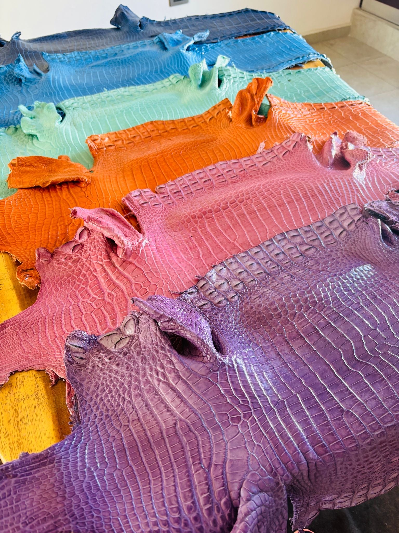 Full Moreletii Croc (Made to Order)