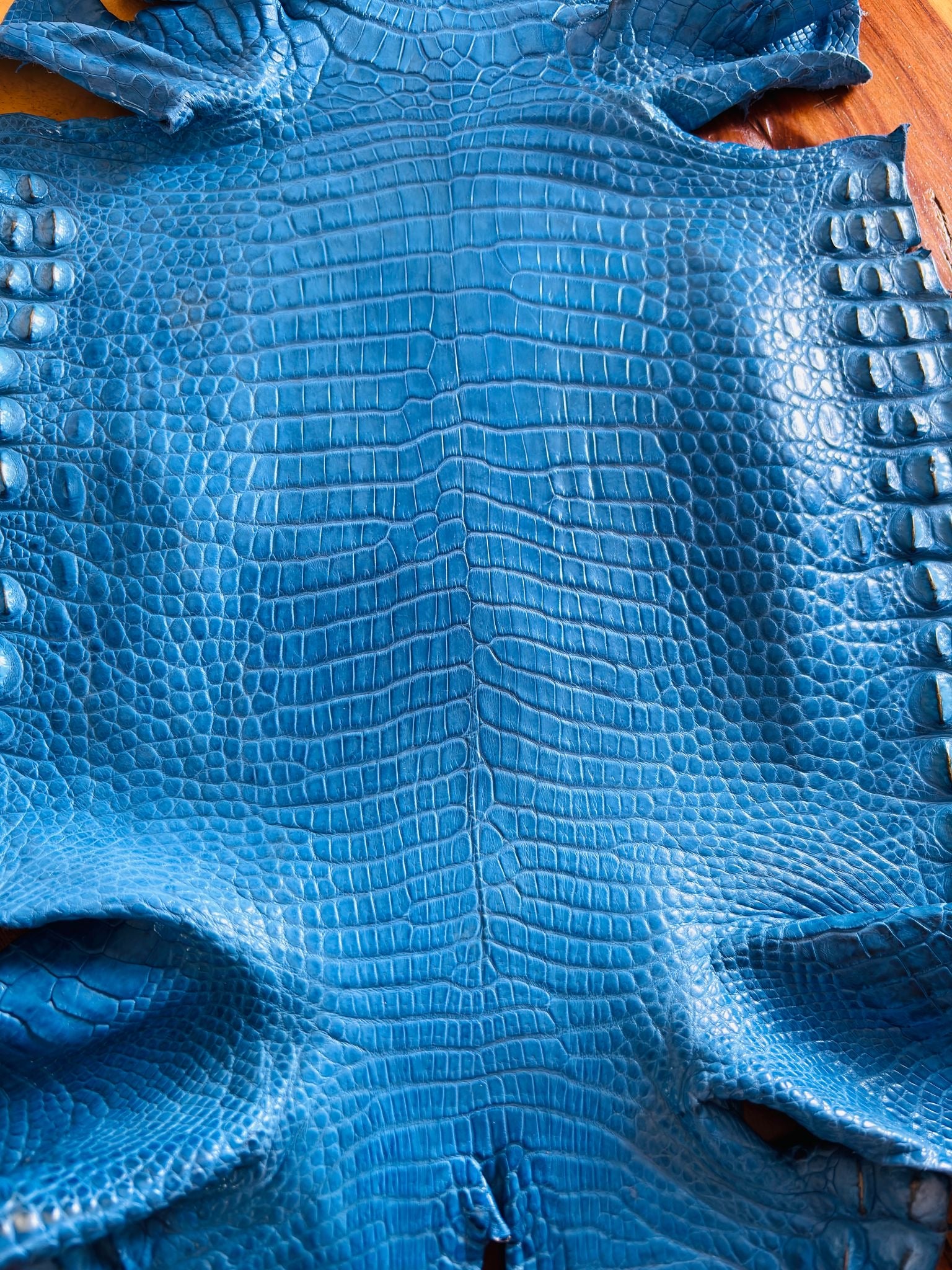 Full Moreletii Croc (Made to Order)