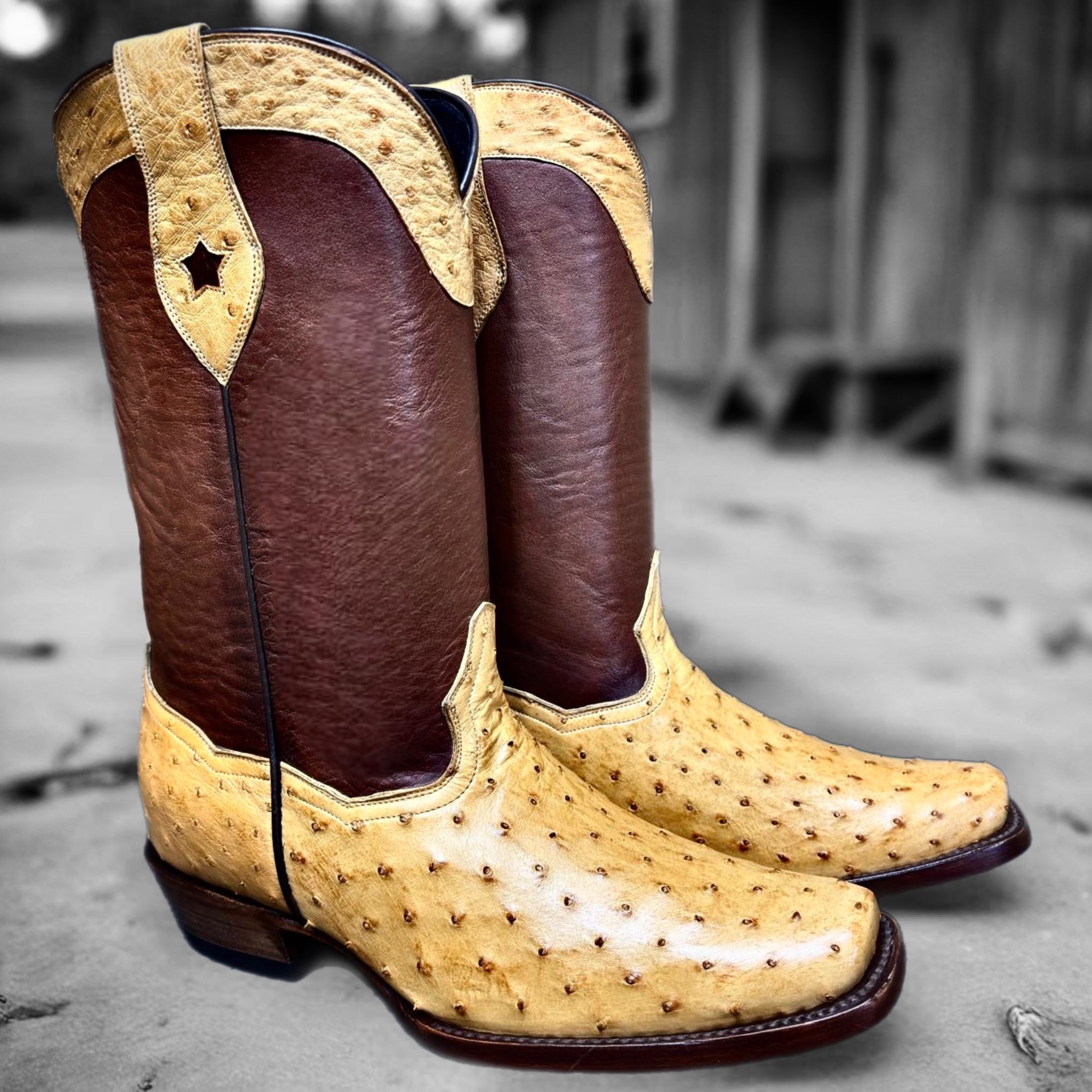 Loving (Made to Order)