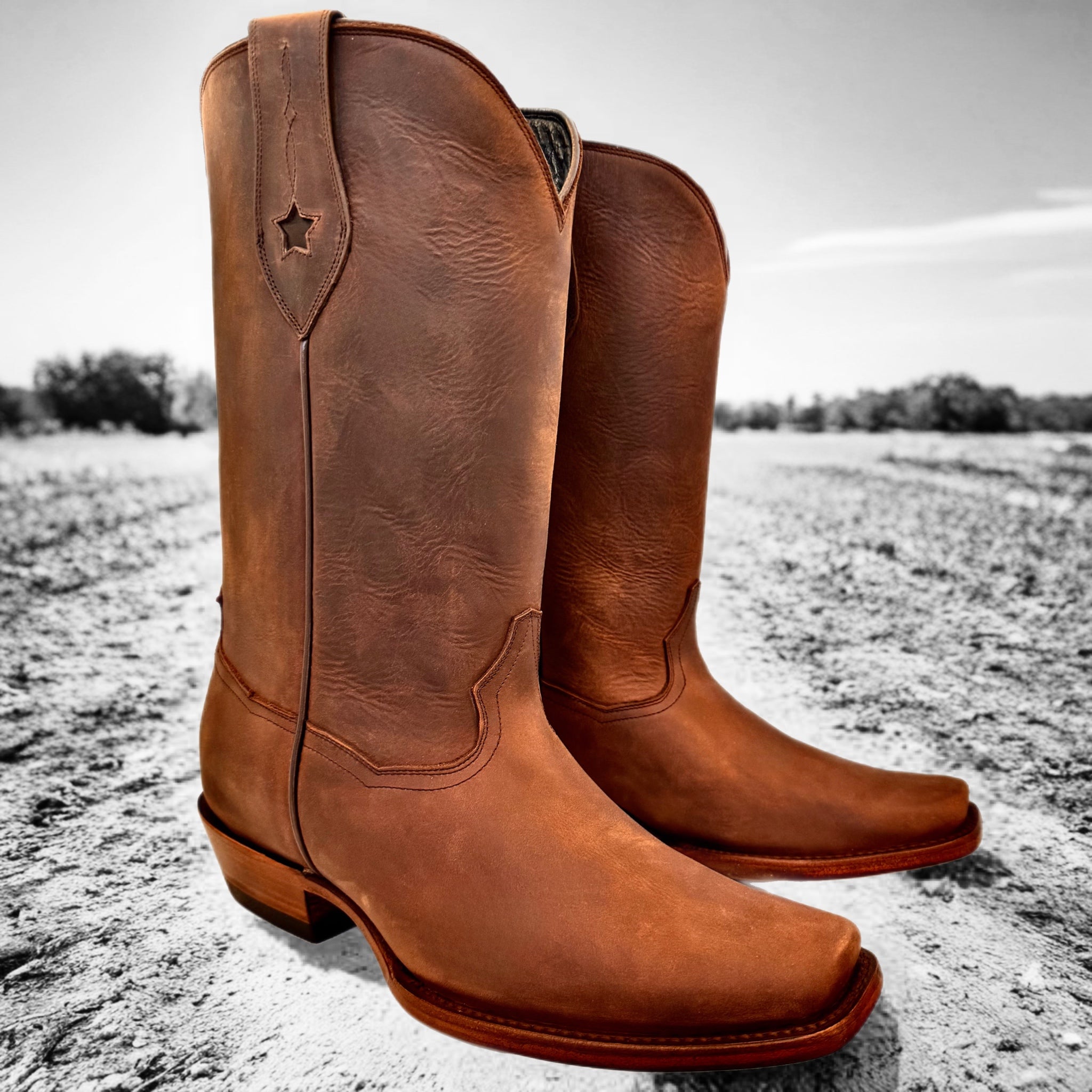 Bowie (Can Be Customized)