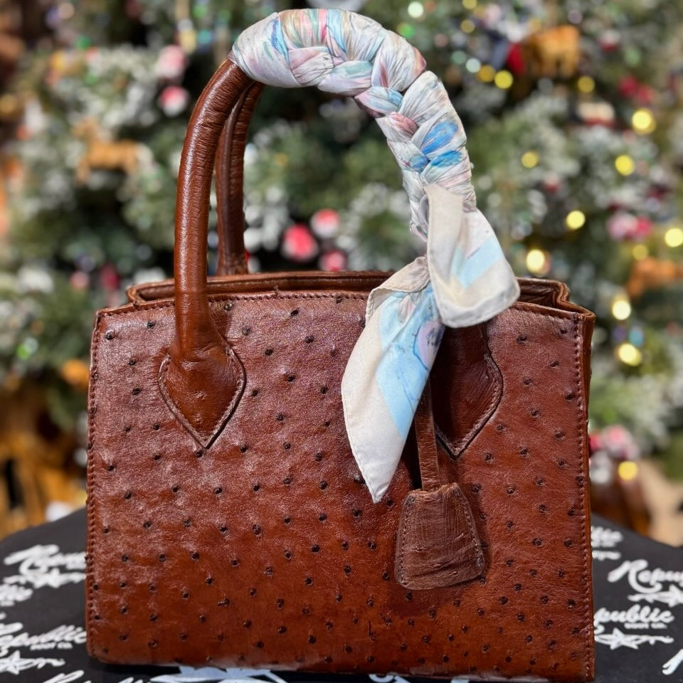 Lux Ostrich Purse - Honfleur