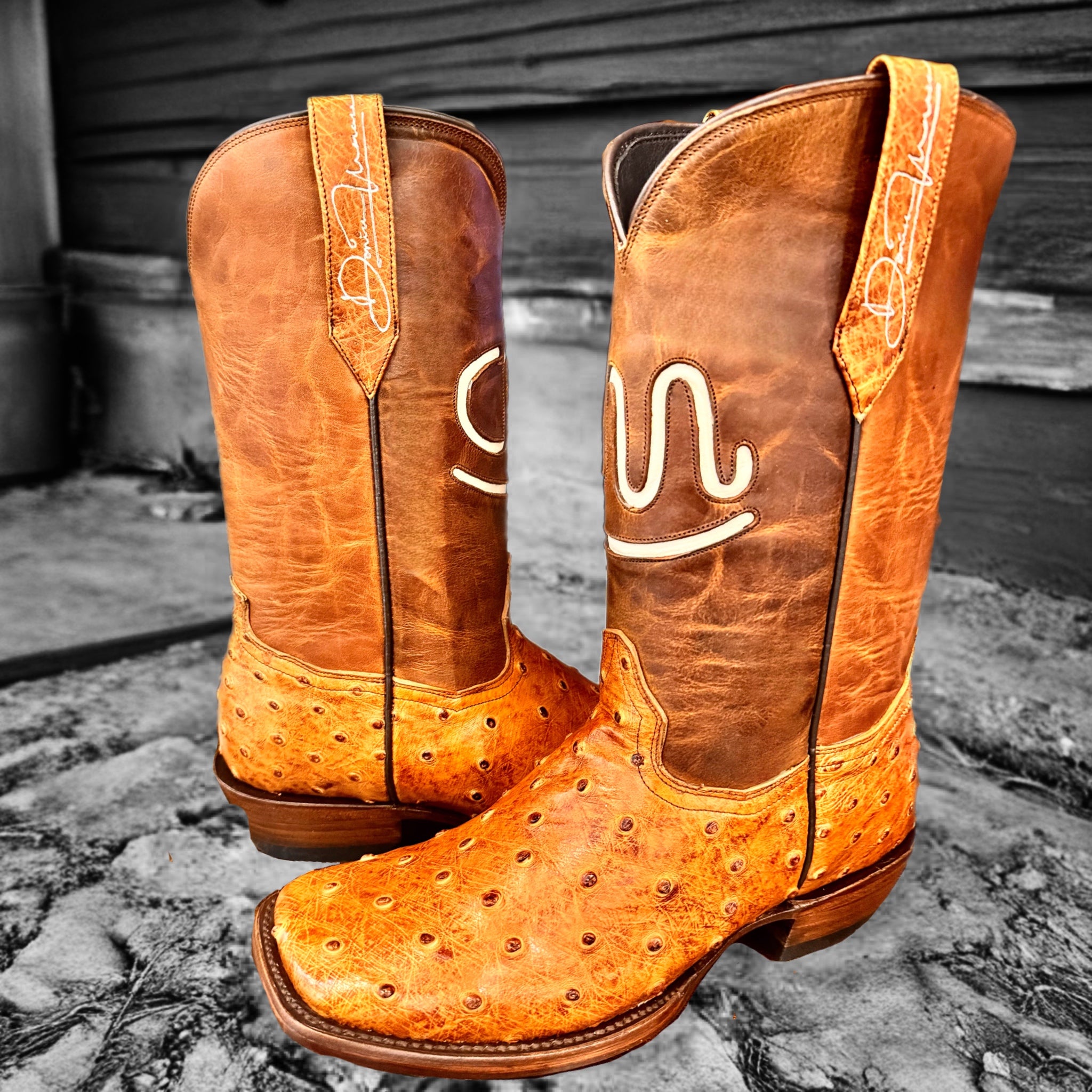Donice Morace - Cognac Ostrich (Made to Order)
