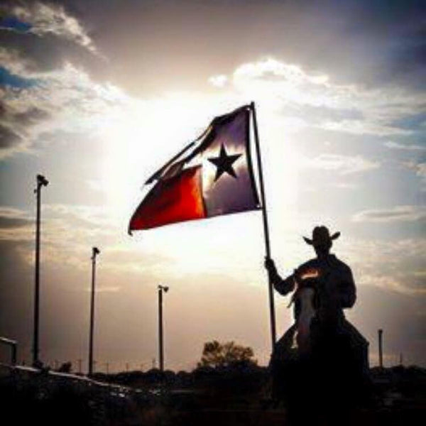 3x5 Poly - La Gran Estrella Solitaria Bandera de Texas