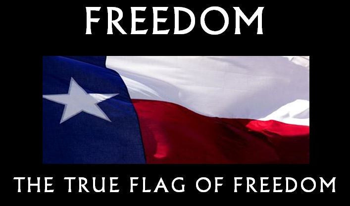 3x5 Poly - Der große einsame Stern Texas Flagge